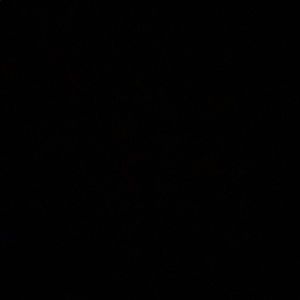 Meet your Posher, Ana